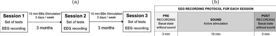 Experimental procedures: Performance procedures and duration