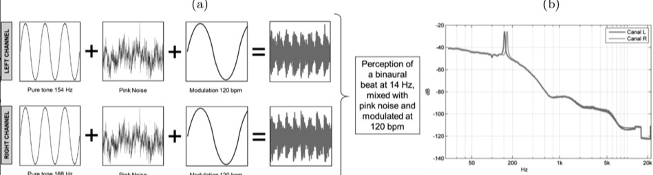 Experimental procedures: Performance procedures and duration